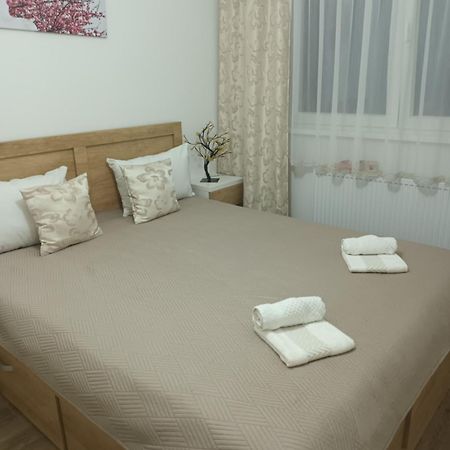 Banja KoviljačaKatarina 3公寓 外观 照片